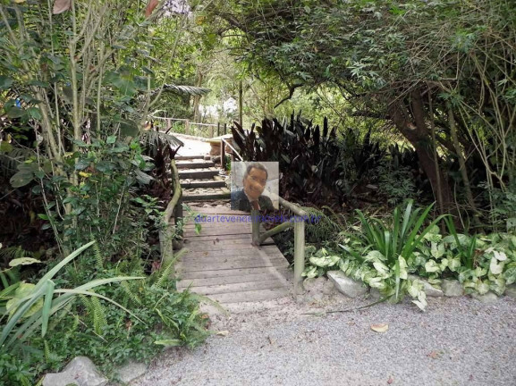 Imagem Terreno em Condomínio à Venda, 2.339 m² em Jardim Mediterrâneo - Cotia Imagem Terreno em Condomínio à Venda, 2.339 m² em Jardim Mediterrâneo - Cotia