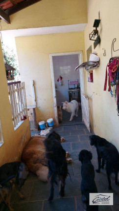 Imagem Chácara com 2 Quartos à Venda, 397 m² em Serra Da Cantareira - Mairiporã Imagem Chácara com 2 Quartos à Venda, 397 m² em Serra Da Cantareira - Mairiporã