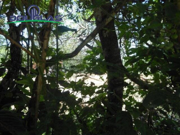 Imagem Terreno à Venda, 800 m² em Viamão