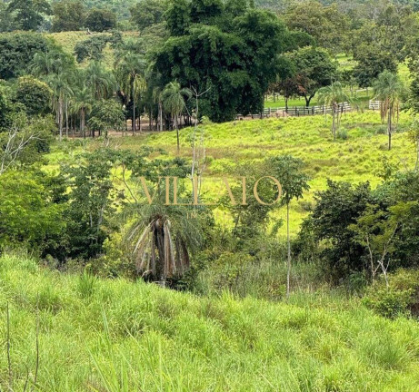 Imagem Chácara com 3 Quartos à Venda, 500 m² em Niquelândia Imagem Chácara com 3 Quartos à Venda, 500 m² em Niquelândia