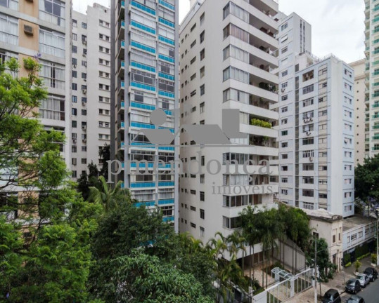Imagem Apartamento com 3 Quartos à Venda, 230 m² em Higienópolis - São Paulo Imagem Apartamento com 3 Quartos à Venda, 230 m² em Higienópolis - São Paulo
