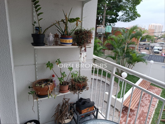Imagem Apartamento com 3 Quartos à Venda, 67 m² em Jaguaré - São Paulo Imagem Apartamento com 3 Quartos à Venda, 67 m² em Jaguaré - São Paulo