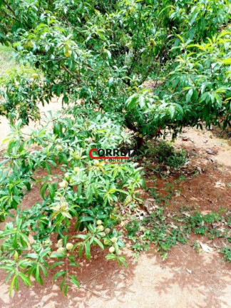 Imagem Chácara com 3 Quartos à Venda, 1.000 m² em Votorantim - Ibiúna Imagem Chácara com 3 Quartos à Venda, 1.000 m² em Votorantim - Ibiúna