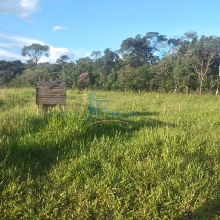 Imagem Imóvel com 4 Quartos à Venda, 105.000 m² em Centro - Cajuru Imagem Imóvel com 4 Quartos à Venda, 105.000 m² em Centro - Cajuru