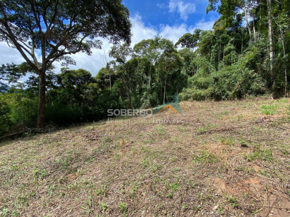 Imagem Imóvel com 3 Quartos à Venda, 70.000 m² em Vargem Grande - Teresópolis Imagem Imóvel com 3 Quartos à Venda, 70.000 m² em Vargem Grande - Teresópolis