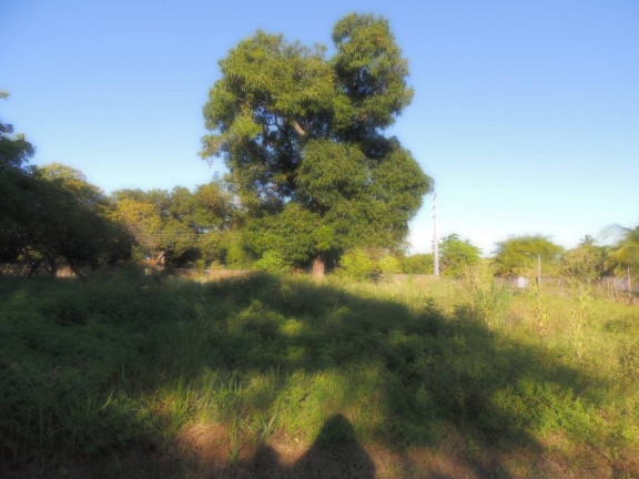 Imagem Terreno à Venda, 13 m² em Camará - Aquiraz