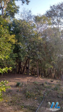 Imagem Chácara com 3 Quartos à Venda, 350 m² em Agua Comprida - Bragança Paulista