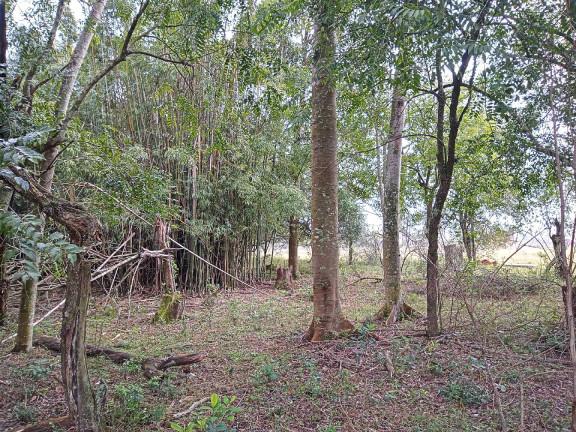 Imagem Terreno à Venda, 713 m² em águas Claras - Viamão