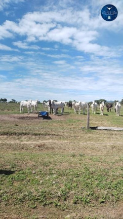 Imagem Fazenda à Venda, 800 m² em Zona Rural - Nova Xavantina Imagem Fazenda à Venda, 800 m² em Zona Rural - Nova Xavantina
