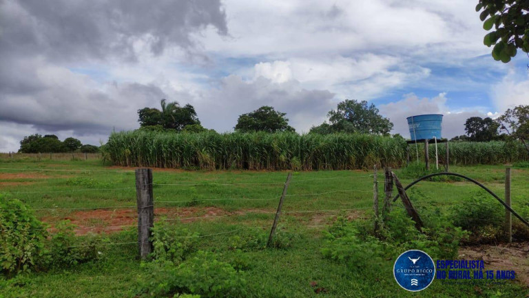 Imagem Fazenda à Venda, 218 m² em Zona Rural - Jussara Imagem Fazenda à Venda, 218 m² em Zona Rural - Jussara