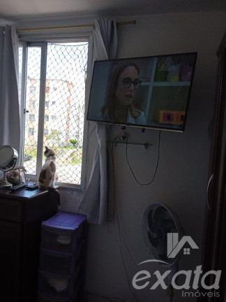 Imagem Apartamento com 2 Quartos à Venda, 52 m² em Castelandia - Serra Imagem Apartamento com 2 Quartos à Venda, 52 m² em Castelandia - Serra