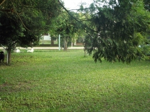 Imagem Casa com 4 Quartos à Venda, 2.000 m² em águas Claras - Viamão Imagem Casa com 4 Quartos à Venda, 2.000 m² em águas Claras - Viamão