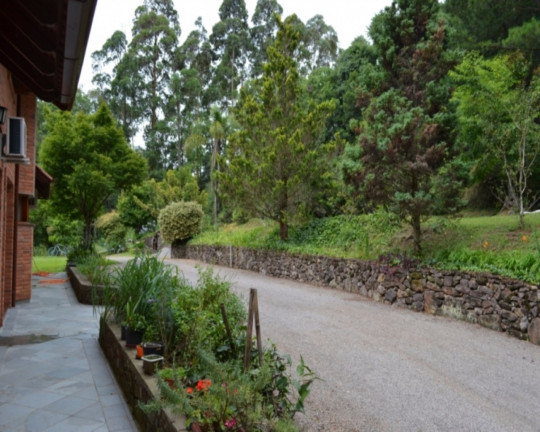 Imagem Imóvel com 3 Quartos à Venda, em Vale Verde - Nova Petrópolis Imagem Imóvel com 3 Quartos à Venda, em Vale Verde - Nova Petrópolis