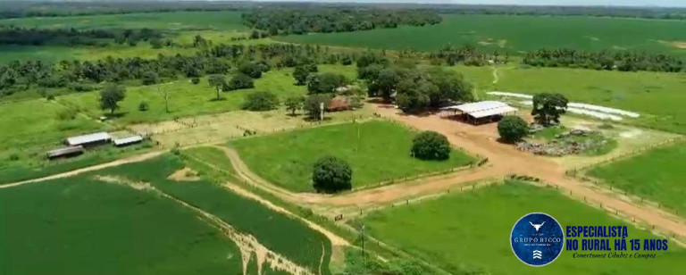 Imagem Fazenda à Venda, 228 m² em Zona Rural - São Miguel Do Araguaia Imagem Fazenda à Venda, 228 m² em Zona Rural - São Miguel Do Araguaia