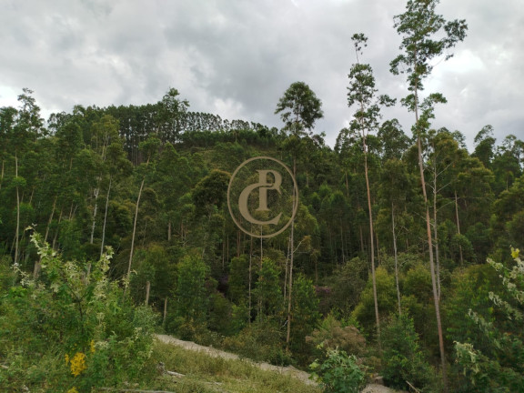 Imagem Chácara à Venda, em Natividade Da Serra - Natividade Da Serra Imagem Chácara à Venda, em Natividade Da Serra - Natividade Da Serra