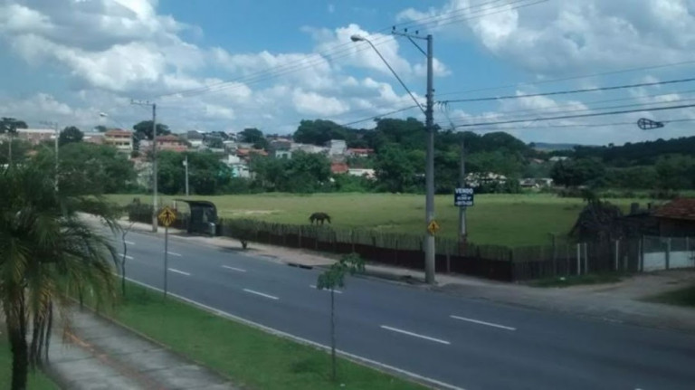 Imagem Terreno à Venda, 100 m² em Jardim Paraíso Do Sol - São José Dos Campos Imagem Terreno à Venda, 100 m² em Jardim Paraíso Do Sol - São José Dos Campos