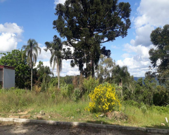 Imagem Imóvel à Venda, 391 m² em Pinhal Alto - Nova Petrópolis Imagem Imóvel à Venda, 391 m² em Pinhal Alto - Nova Petrópolis