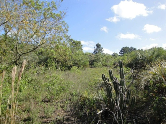 Imagem Chácara à Venda, 4 m² em águas Claras - Viamão