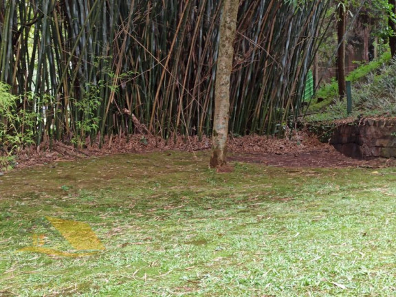 Imagem Chácara com 5 Quartos à Venda, 300 m² em Chácara Paraíso - Nova Friburgo Imagem Chácara com 5 Quartos à Venda, 300 m² em Chácara Paraíso - Nova Friburgo