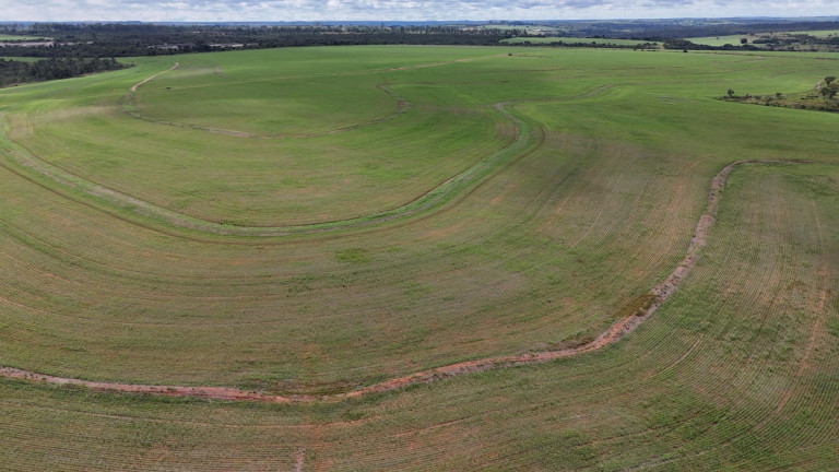 Imagem Fazenda à Venda, 195 m² em Zona Rural - Uberlândia Imagem Fazenda à Venda, 195 m² em Zona Rural - Uberlândia