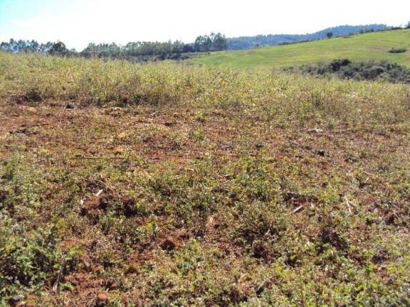 Imagem Imóvel com 2 Quartos à Venda, 266.200 m² em Zona Rural - Jacui