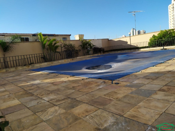 Imagem Apartamento com 2 Quartos à Venda, 60 m² em Vila Bertioga - São Paulo Imagem Apartamento com 2 Quartos à Venda, 60 m² em Vila Bertioga - São Paulo