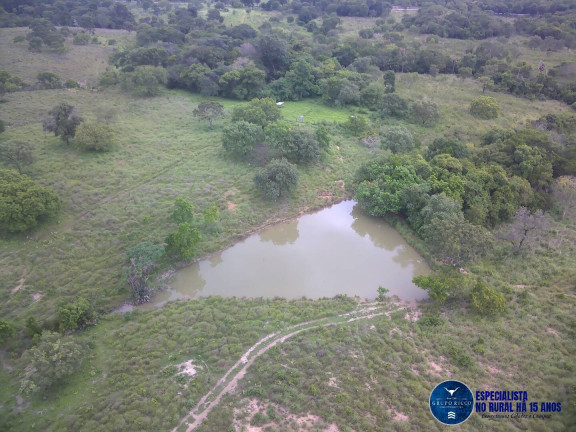 Imagem Fazenda à Venda, 37 m² em Zona Rural - Faina Imagem Fazenda à Venda, 37 m² em Zona Rural - Faina