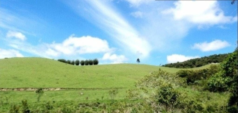 Imagem Fazenda à Venda, 300 m² em Centro - Guaratinguetá Imagem Fazenda à Venda, 300 m² em Centro - Guaratinguetá