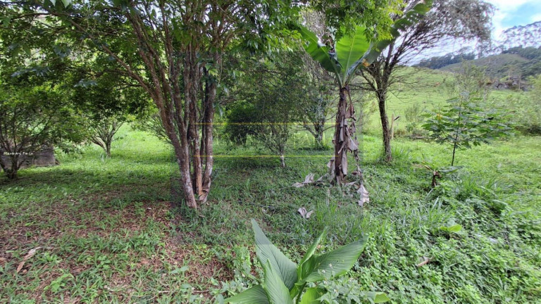 Imagem Chácara com 1 Quarto à Venda, 90 m² em Natividade Da Serra