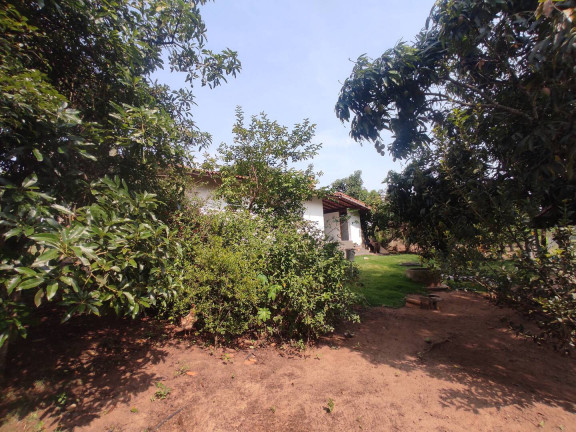 Imagem Chácara com 3 Quartos à Venda, 6.666 m² em Rodovia - Alambari Imagem Chácara com 3 Quartos à Venda, 6.666 m² em Rodovia - Alambari