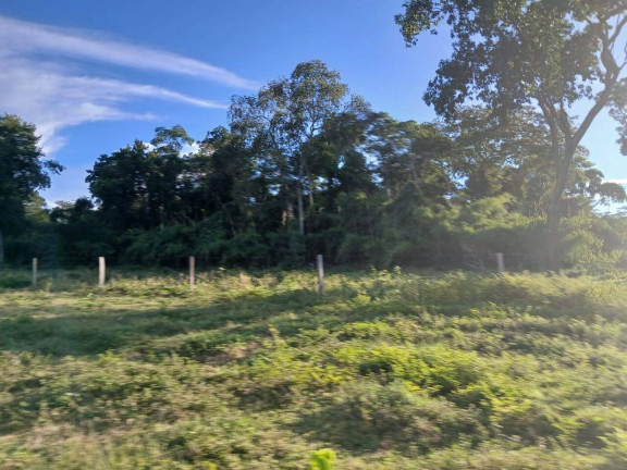 Imagem Chácara à Venda, 35 m² em Arapongas Imagem Chácara à Venda, 35 m² em Arapongas