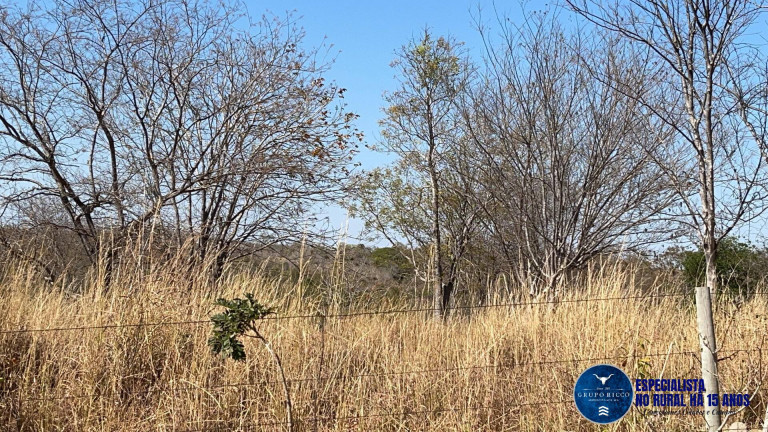Imagem Chácara à Venda, 15 m² em Zona Rural - Faina Imagem Chácara à Venda, 15 m² em Zona Rural - Faina