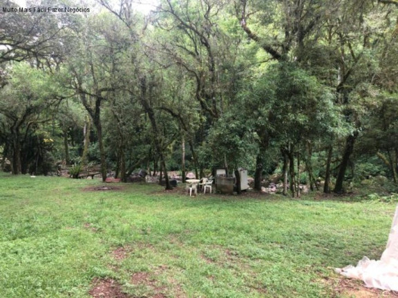 Imagem Imóvel com 2 Quartos à Venda, 80 m² em Linha Pirajá Baixa - Nova Petrópolis