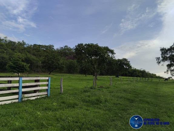 Imagem Fazenda à Venda, 187 m² em Zona Rural - Mineiros Imagem Fazenda à Venda, 187 m² em Zona Rural - Mineiros