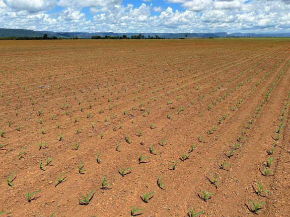Imagem Fazenda à Venda, 9.700 m² em Rural - Pontes E Lacerda