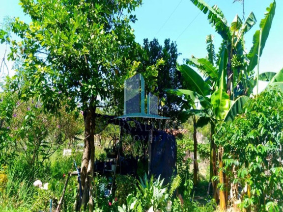 Imagem Imóvel com 2 Quartos à Venda, 2.500 m² em Andiroba - Esmeraldas Imagem Imóvel com 2 Quartos à Venda, 2.500 m² em Andiroba - Esmeraldas