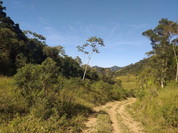 Imagem Fazenda à Venda, 726.000 m² em Tomba - Feira De Santana Imagem Fazenda à Venda, 726.000 m² em Tomba - Feira De Santana
