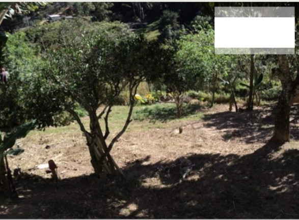 Imagem Chácara com 2 Quartos à Venda, 1.440 m² em Terra Preta - Mairiporã Imagem Chácara com 2 Quartos à Venda, 1.440 m² em Terra Preta - Mairiporã