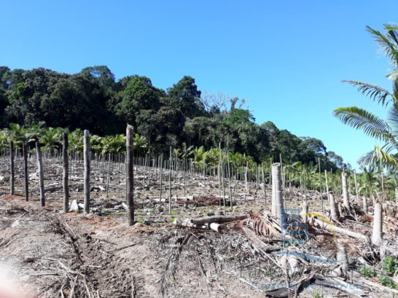 Imagem Terreno à Venda, 232.297 m² em Enseada - São Francisco Do Sul Imagem Terreno à Venda, 232.297 m² em Enseada - São Francisco Do Sul