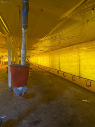 Imagem Terreno à Venda, 48.800 m² em Interior - Cordilheira Alta Imagem Terreno à Venda, 48.800 m² em Interior - Cordilheira Alta