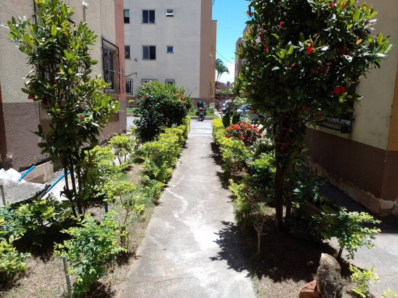 Imagem Apartamento com 2 Quartos à Venda, 44 m² em Rio Das Velhas - Santa Luzia