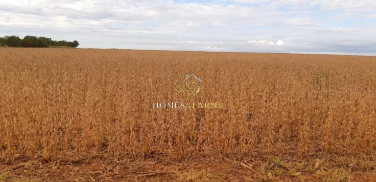 Imagem Imóvel com 3 Quartos à Venda, 17.897 m² em Zona Rural - água Boa Imagem Imóvel com 3 Quartos à Venda, 17.897 m² em Zona Rural - água Boa