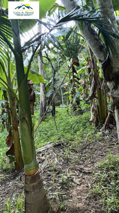 Imagem Chácara com 2 Quartos à Venda, 50 m² em Raposo Tavares - Itariri Imagem Chácara com 2 Quartos à Venda, 50 m² em Raposo Tavares - Itariri