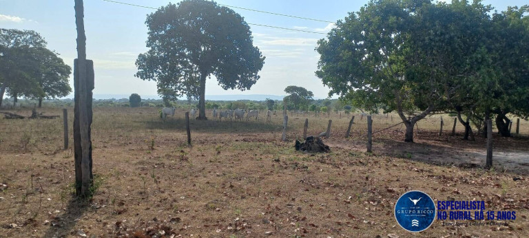 Imagem Fazenda à Venda, 300 m² em Zona Rural - Barra Do Garças Imagem Fazenda à Venda, 300 m² em Zona Rural - Barra Do Garças