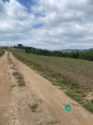 Imagem Imóvel à Venda, 1.600.000 m² em Zona Rural - Vidal Ramos Imagem Imóvel à Venda, 1.600.000 m² em Zona Rural - Vidal Ramos