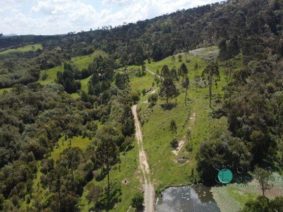 Imagem Imóvel com 2 Quartos à Venda, 500.000 m² em Interior - Otacílio Costa Imagem Imóvel com 2 Quartos à Venda, 500.000 m² em Interior - Otacílio Costa