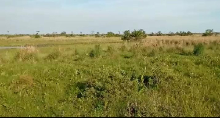 Fazenda à Venda, 1.200 m² em Rural - Corumbá