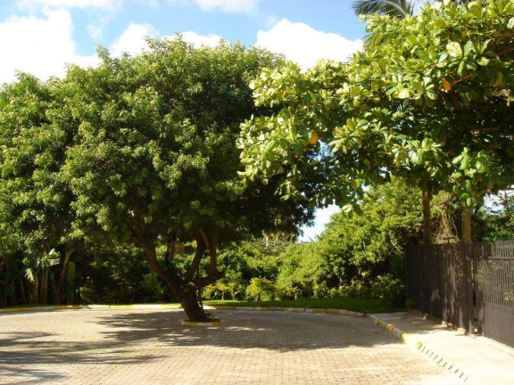 Imagem Sobrado com 2 Quartos para Alugar,  em Canasvieiras - Florianópolis