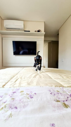 Imagem Apartamento com 3 Quartos à Venda, 100 m² em Chácara Inglesa - São Paulo