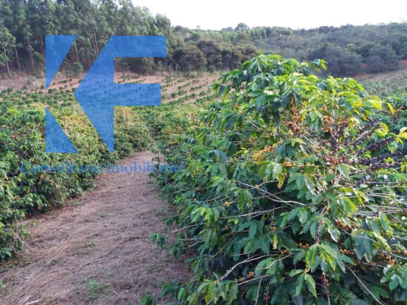 Imagem Imóvel à Venda, em São Caetano Do Lino - Capelinha Imagem Imóvel à Venda, em São Caetano Do Lino - Capelinha